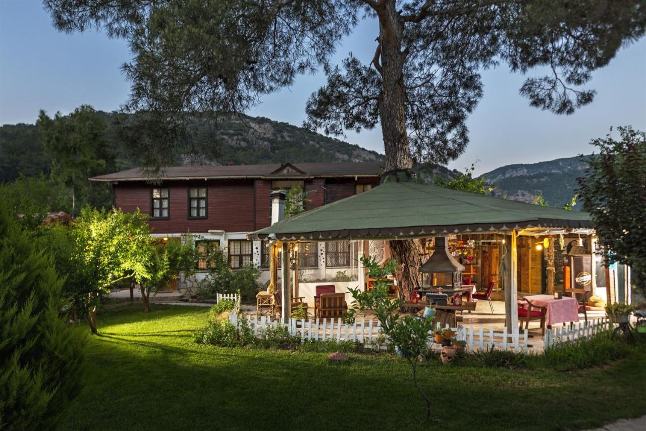 Koala Bungalows Olympos Extérieur photo