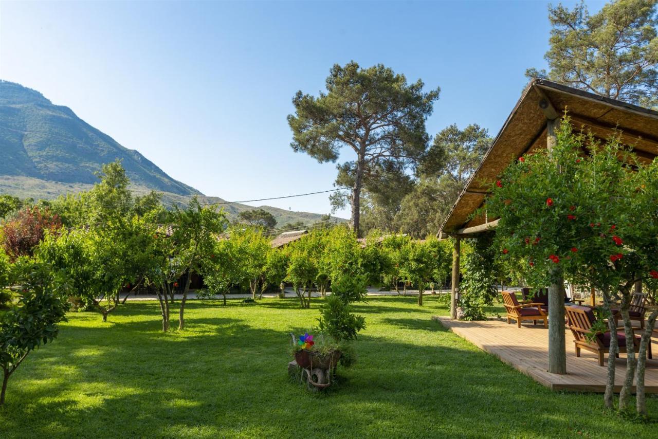 Koala Bungalows Olympos Extérieur photo