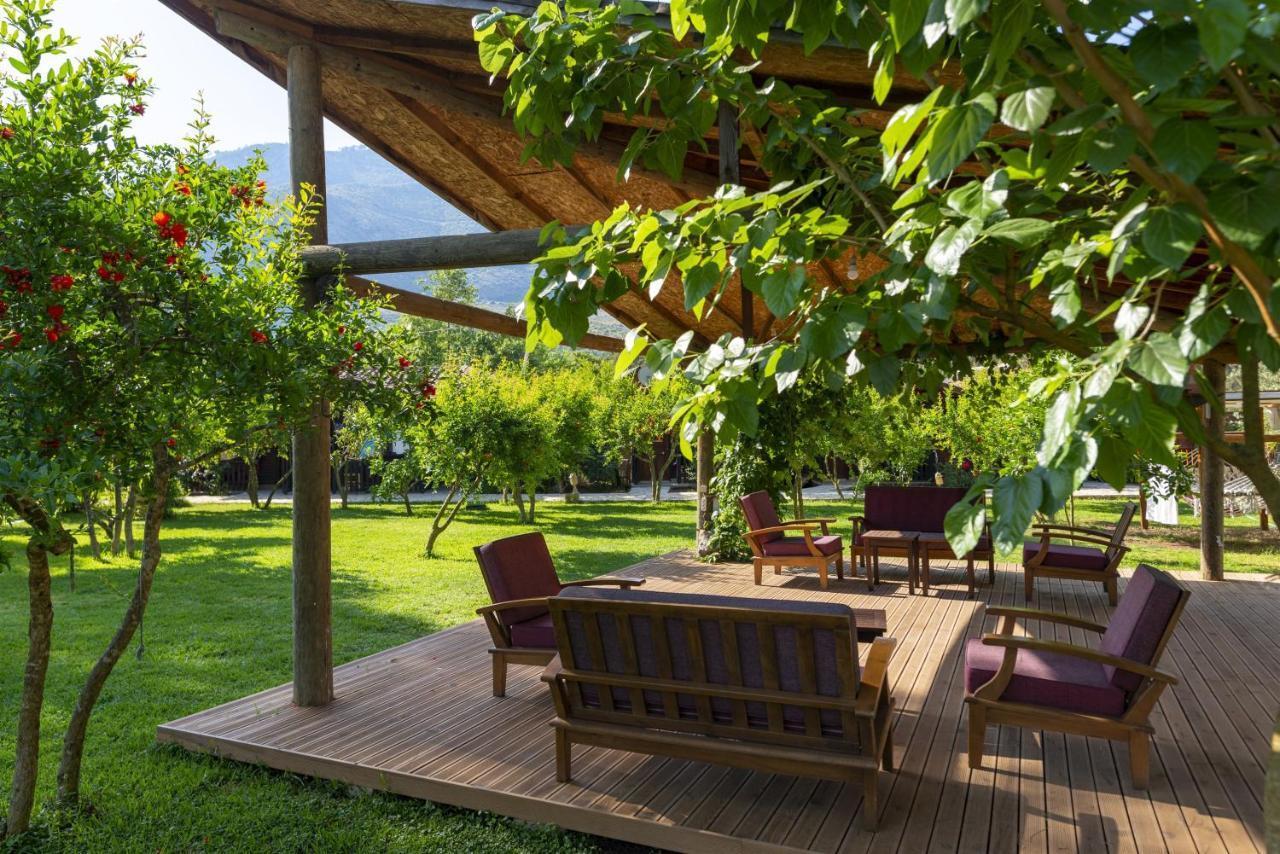 Koala Bungalows Olympos Extérieur photo