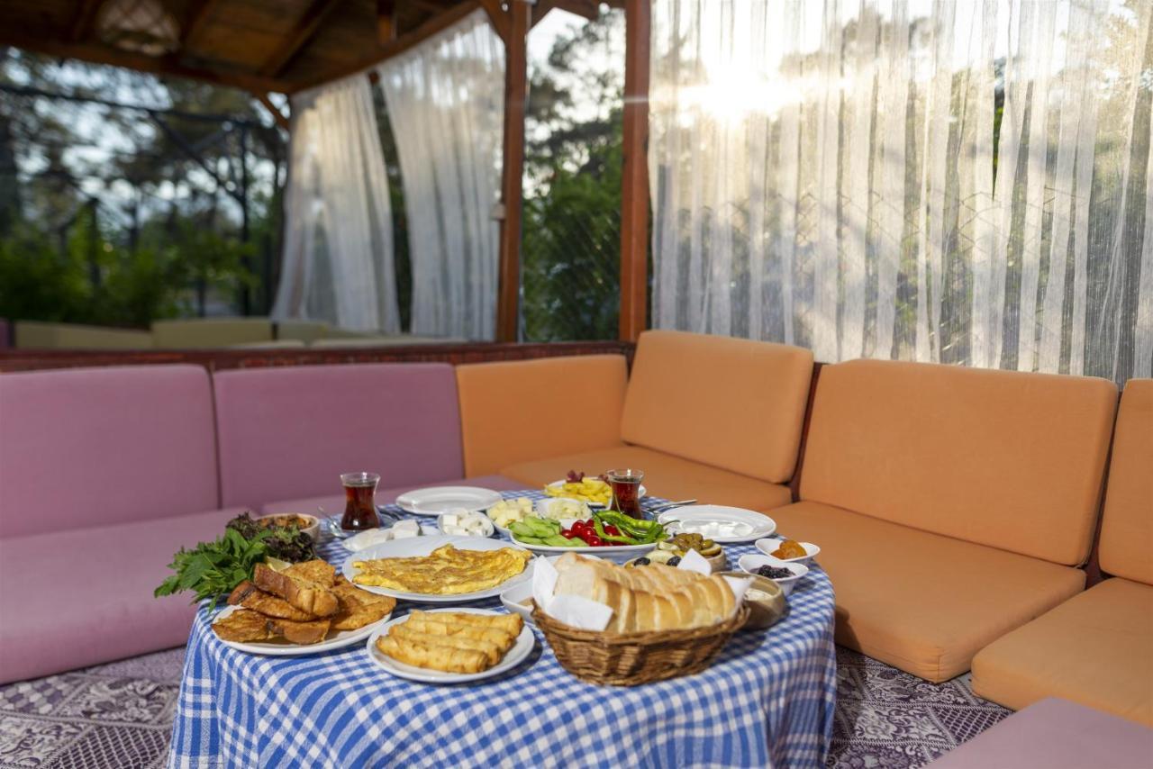 Koala Bungalows Olympos Extérieur photo
