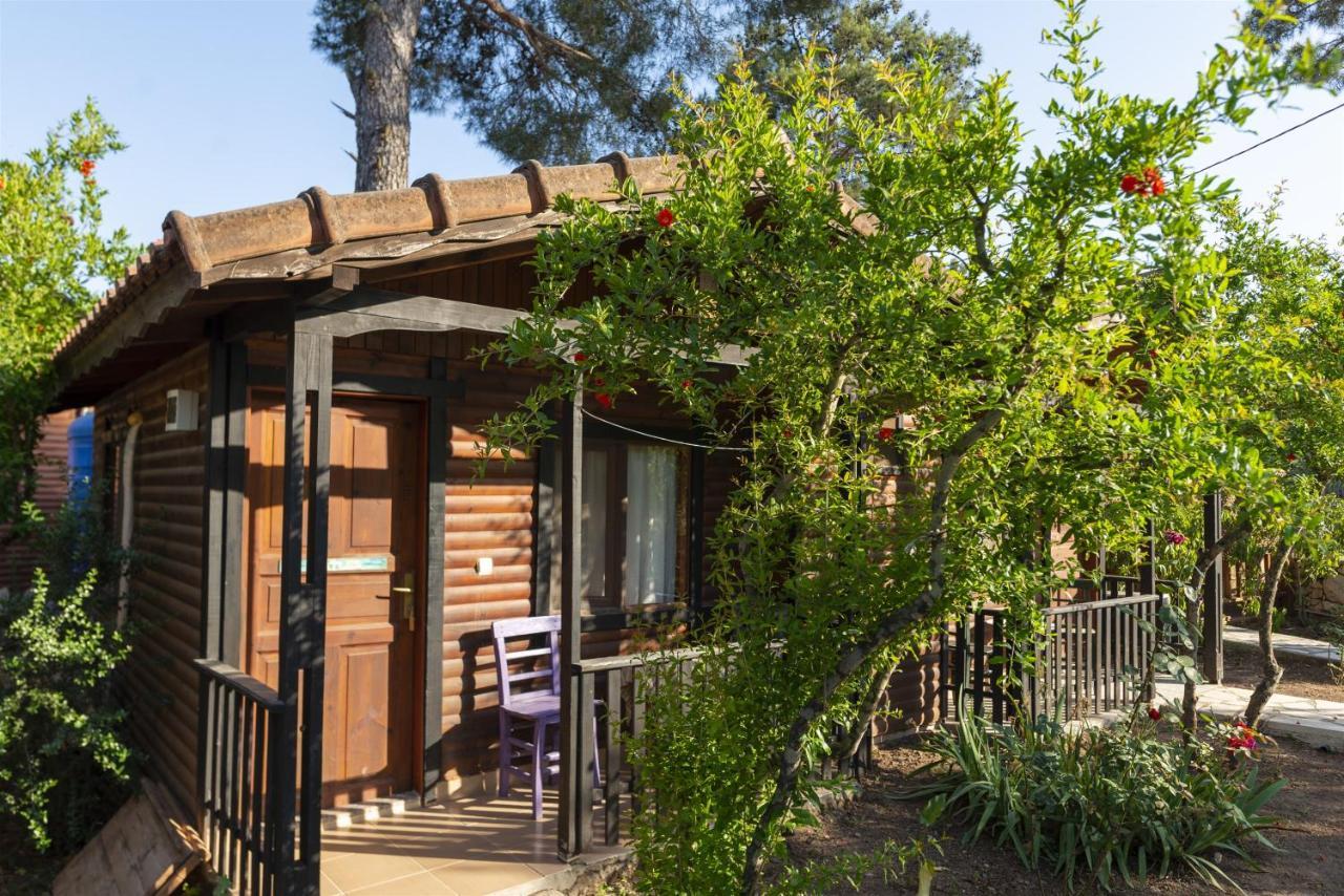 Koala Bungalows Olympos Extérieur photo