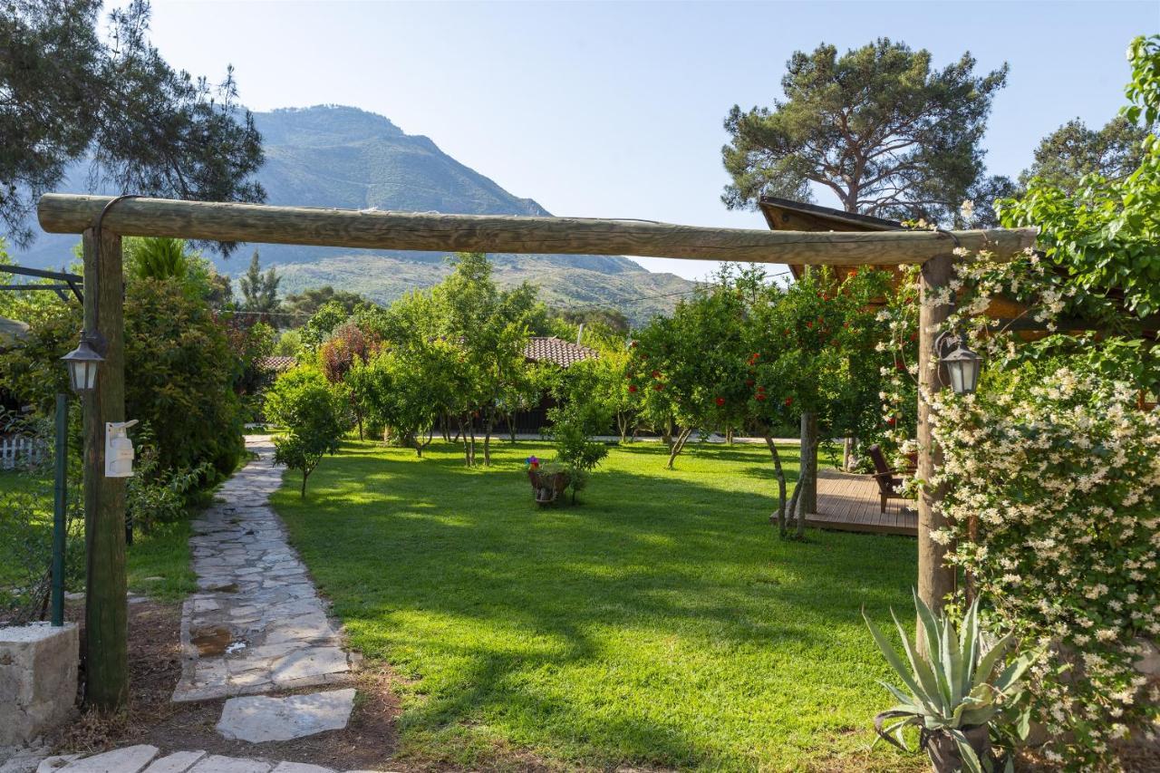 Koala Bungalows Olympos Extérieur photo