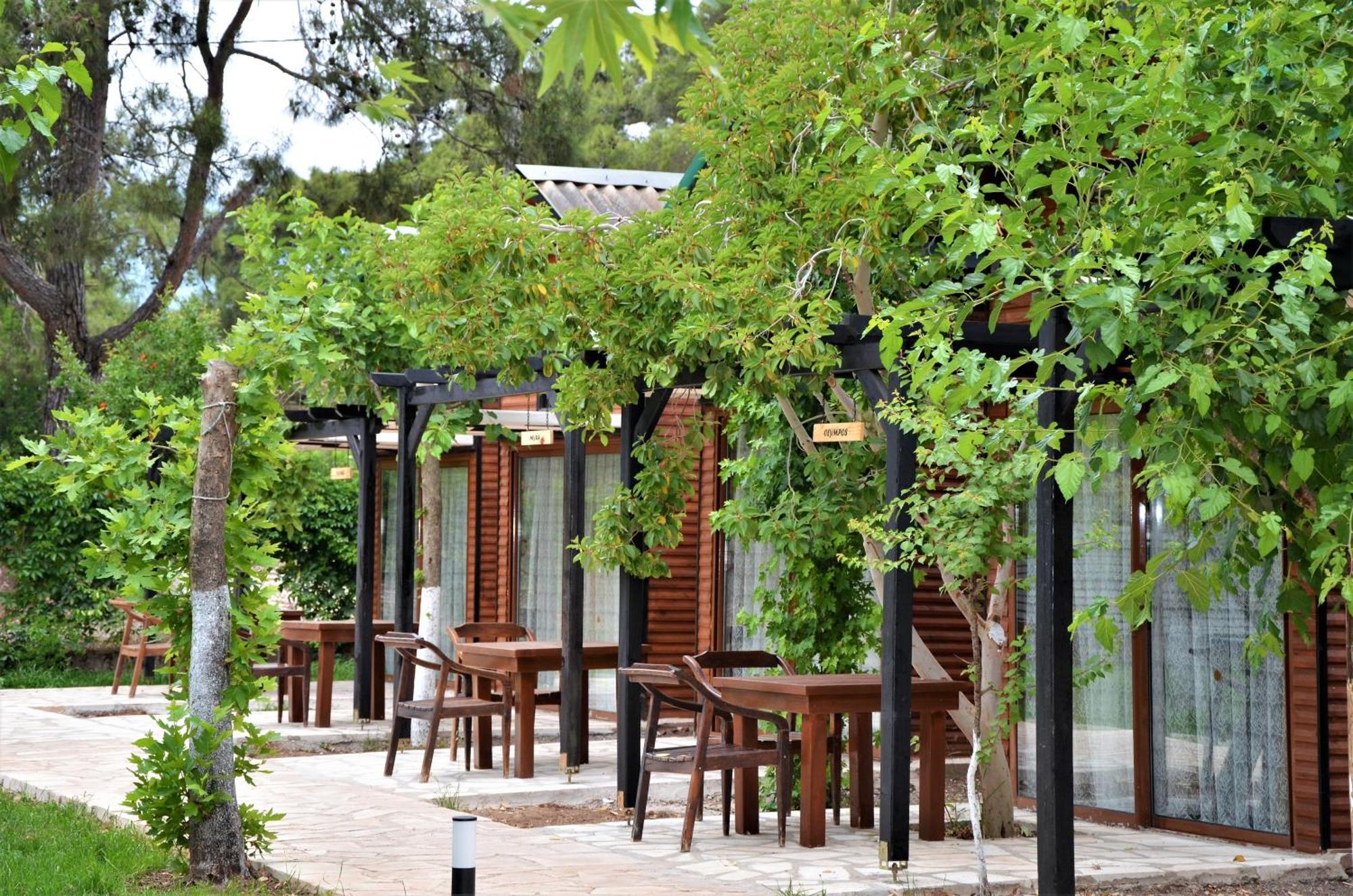 Koala Bungalows Olympos Extérieur photo