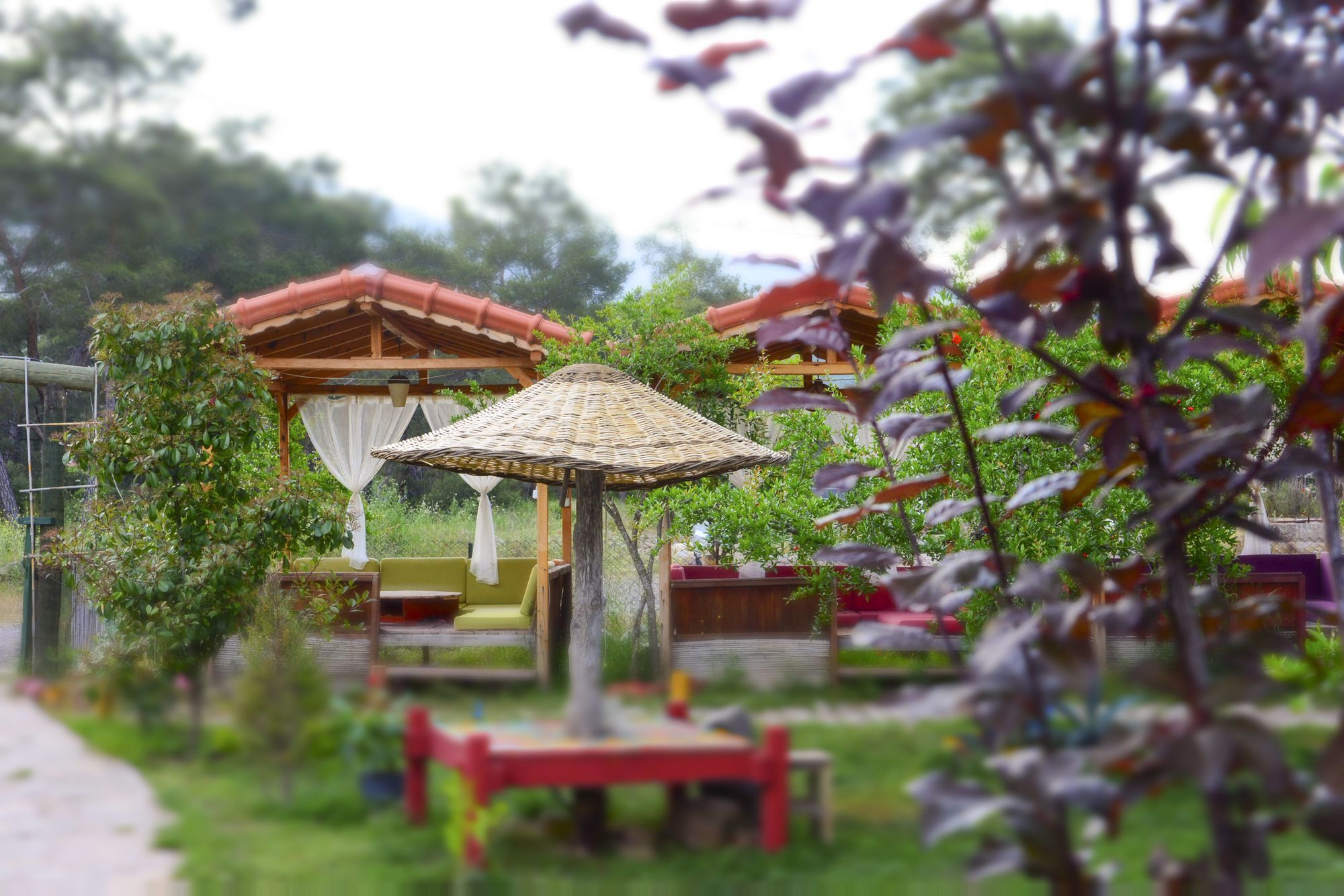 Koala Bungalows Olympos Extérieur photo