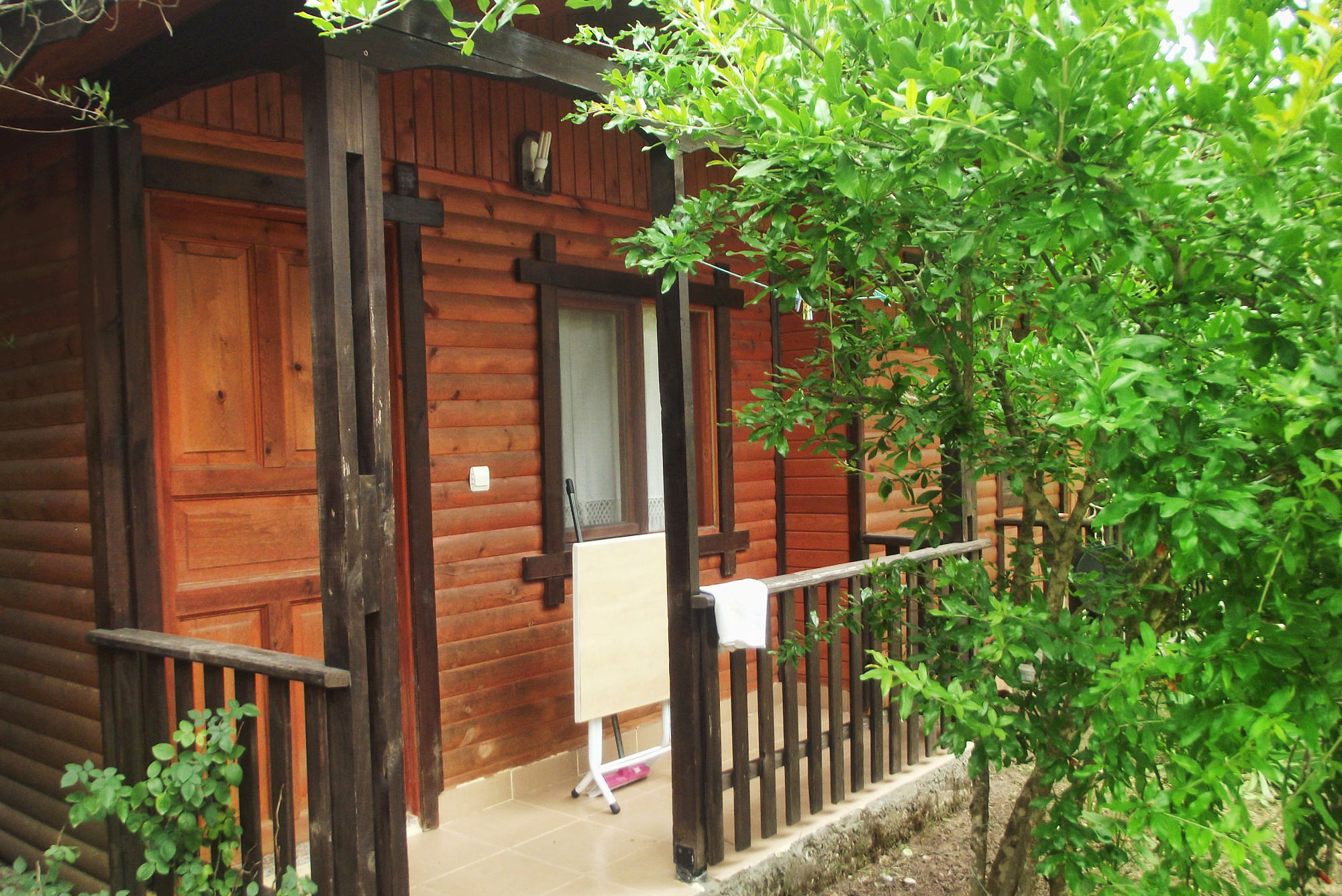 Koala Bungalows Olympos Extérieur photo