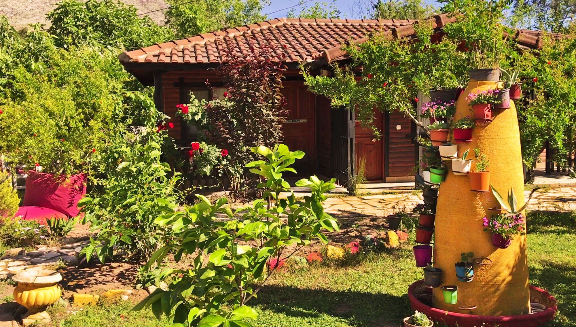 Koala Bungalows Olympos Extérieur photo