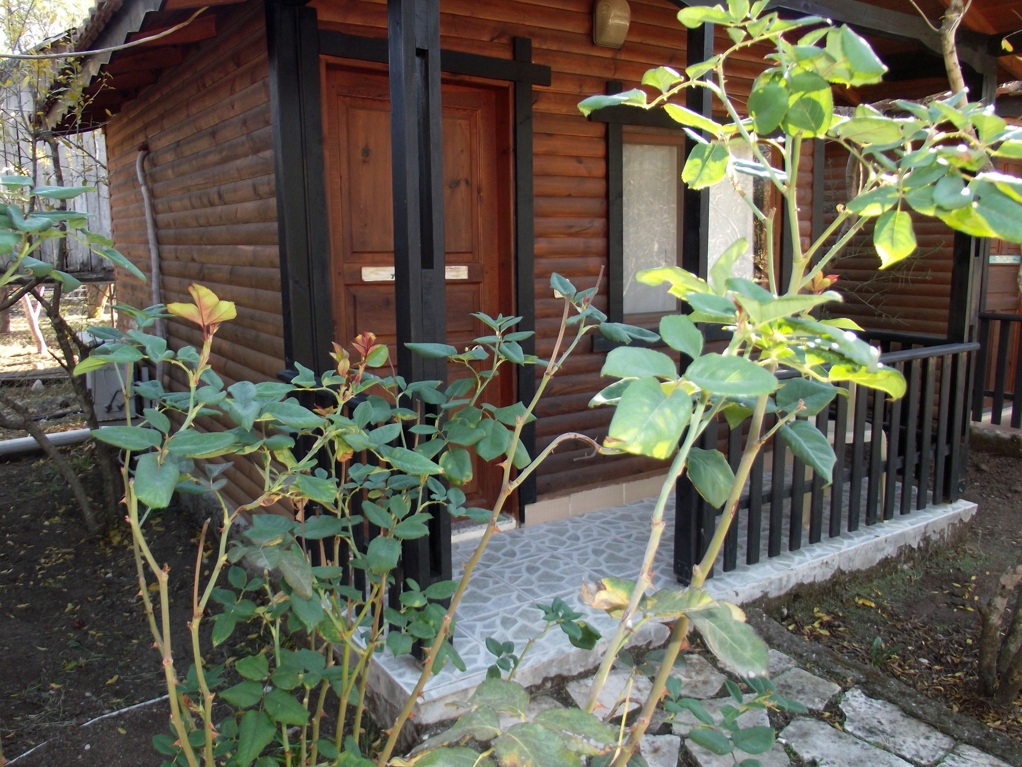 Koala Bungalows Olympos Extérieur photo